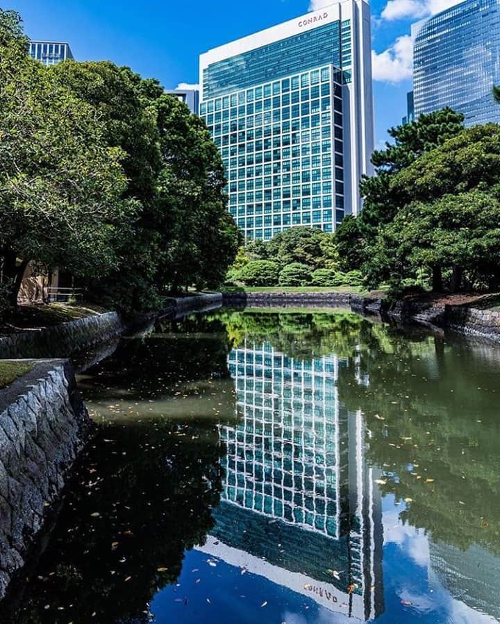 Conrad Tokyoのインスタグラム：「浜離宮恩賜庭園の側に位置するコンラッド東京には、鮮やかな緑を一望できるお部屋がございます。東京の中心で、緑に癒されながら至福の時をお過ごしください。  Located besides Hamarikyu Gardens, here at Conrad Tokyo our rooms boast panoramic views of the entire gardens and beyond. Join us to enjoy a blissful time and feel the healing qualities of nature in the heart of Tokyo.  Photo by @kotaumeda  Share your own images with us by tagging @conrad_tokyo  ————————————————————— #コンラッド東京 #コンラッド #ホテル #汐留 #東京 #客室 #部屋 #新橋 #銀座 #宿泊 #スイート #ホテルステイ #港区 #ステイケーション #ConradTokyo #StayInspired #Conrad #Tokyo #suite #Shiodome #Shinbashi #staycation #conradsuite」