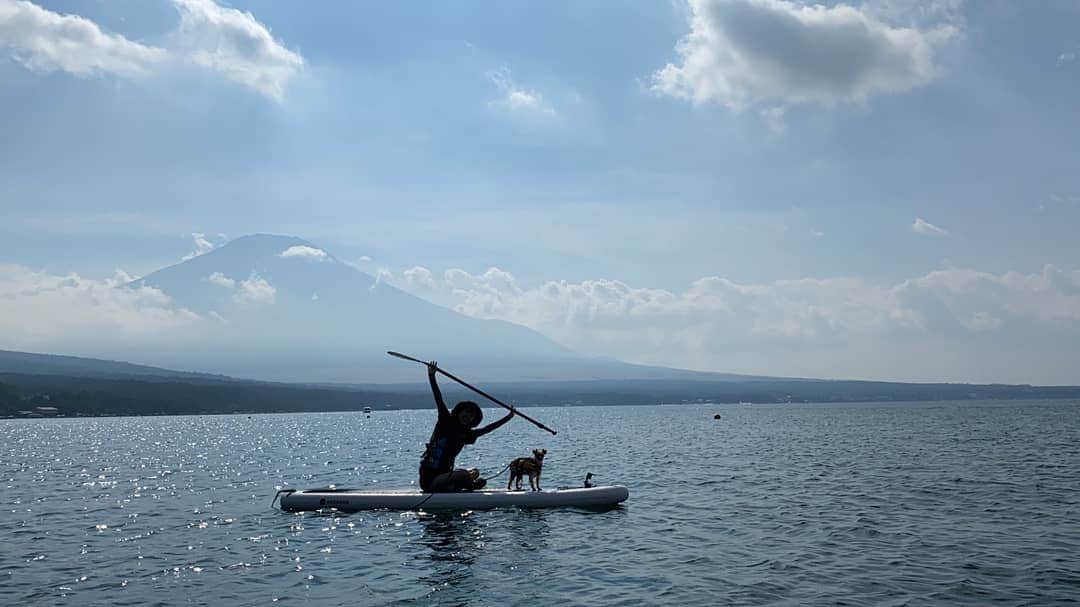 溝口恵さんのインスタグラム写真 - (溝口恵Instagram)「少し前にサップしたのだけど、今回は私とひじきだけで乗りました！ ※さとみ先生指導の元  後ろは雲がかっていますが富士山🗻 逆光で表情見れないけど😂  #愛犬 #ひじめぐ #サップ #富士山 #dogstagram #dog #dogsofinstagram」10月3日 20時16分 - mizomegudesu78