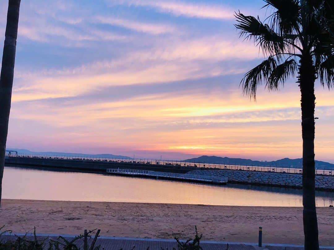 17人をフォロー中 【結婚式場】ラヴィマーナ神戸ウエディングのグルメインスタ