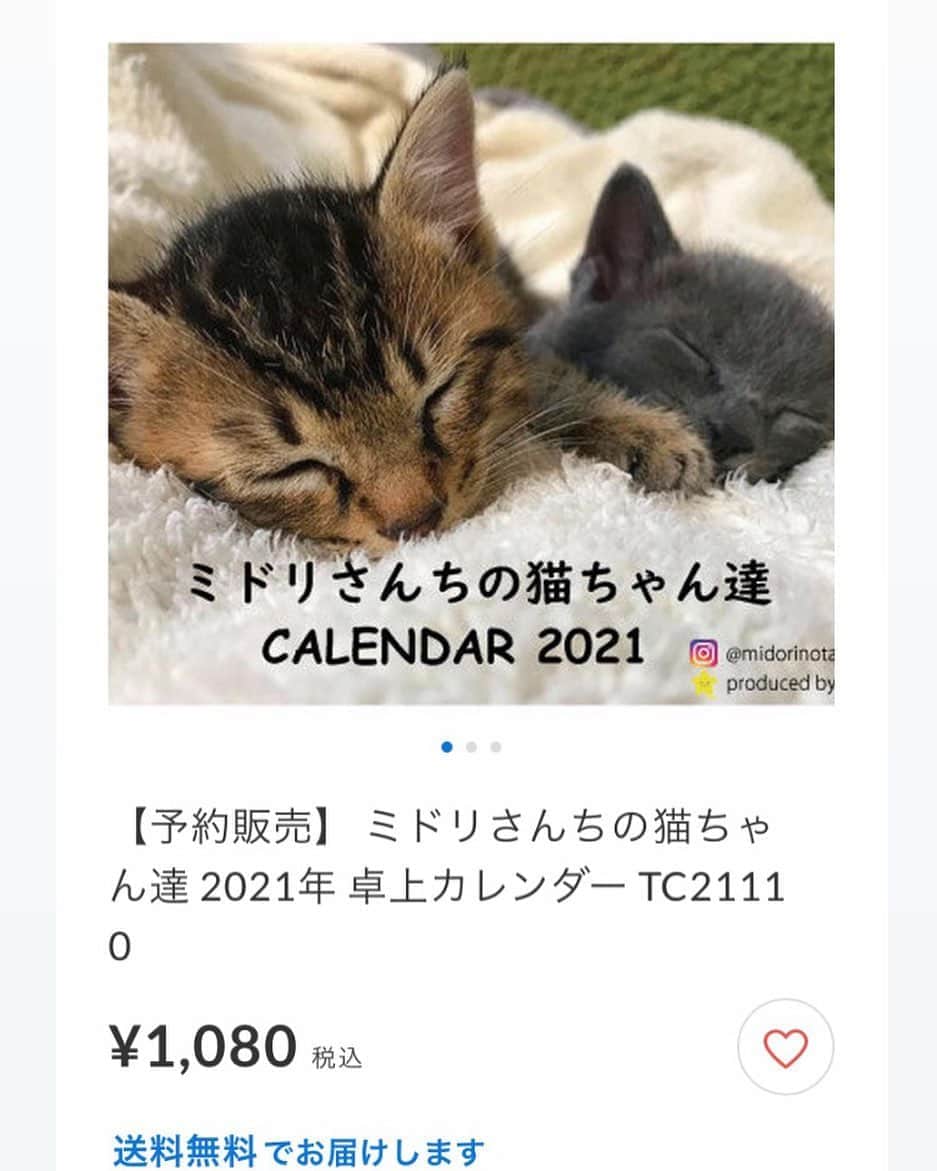 midoriさんのインスタグラム写真 - (midoriInstagram)「. . 我が家の猫たち、@hokushin.co  さまからお声をかけていただき、ANISTARのサイトでカレンダーを作っていただき販売していただくことになりました❤️ . ちびっ子時代の写真が主なものになりますが、どれもこれも思い入れのある可愛い写真です❤️❤️. . . 2021年を我が家の猫たちと一緒にいかがでしょうか🙏✨. . .  https://anistar.shop/  から予約販売となっております。. . . 『ミドリさんちの猫ちゃん達 2021年 卓上カレンダー 』 ¥1,080 税込 . .  送料無料でお届けになりましので是非、覗いてみてください🙏. . .  .  #ネコ#ねこのいる暮らし #シマホネコダスケ  #ねこ#猫#ねこすたぐらむ #にゃんこ #にゃんすたぐらむ#猫好きな人と繋がりたい #保護猫 #保健所収容 #子猫 #ペコねこ部#多頭飼い #catstagram#cats_of_instagram#catsofinstagram#kittycat#bestmeow#meow#instagood#cutepetclubs#club_of_cats#kitty」10月3日 20時13分 - midorinotanbo