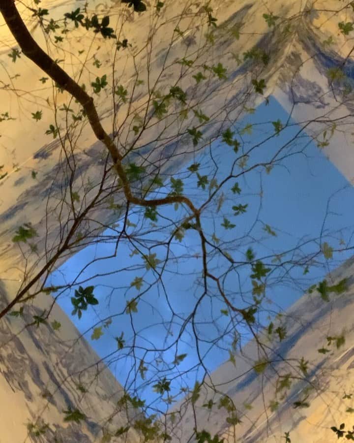 しょうきのグルメインスタ