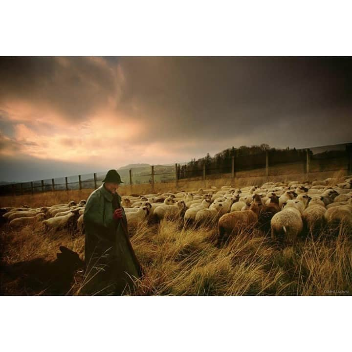 Gerd Ludwigのインスタグラム：「Just after German reunification 30 years ago, a fence whose days are numbered keeps Heinrich Staab, a villager in former West Germany, from herding his sheep into the East. On the old East German side, guards intent on preventing escapes once had to escort shepherds across the border. In a nearby valley known as Fulda Gap, a historic invasion route, American forces stood guard throughout the Cold War, watching for a Soviet attack—possibly aimed at cutting West Germany in two—that never came.  30 years ago today, on October 3, 1990, West and East Germany formally unified into one German state. The day is now known as “German Unity Day,” a public holiday celebrated with events like fireworks and festivals across the country.  @thephotosociety #GermanUnityDay #Germanreunification #Germany #FuldaGap」