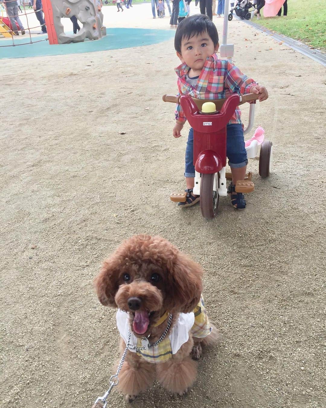 知念芽衣のインスタグラム
