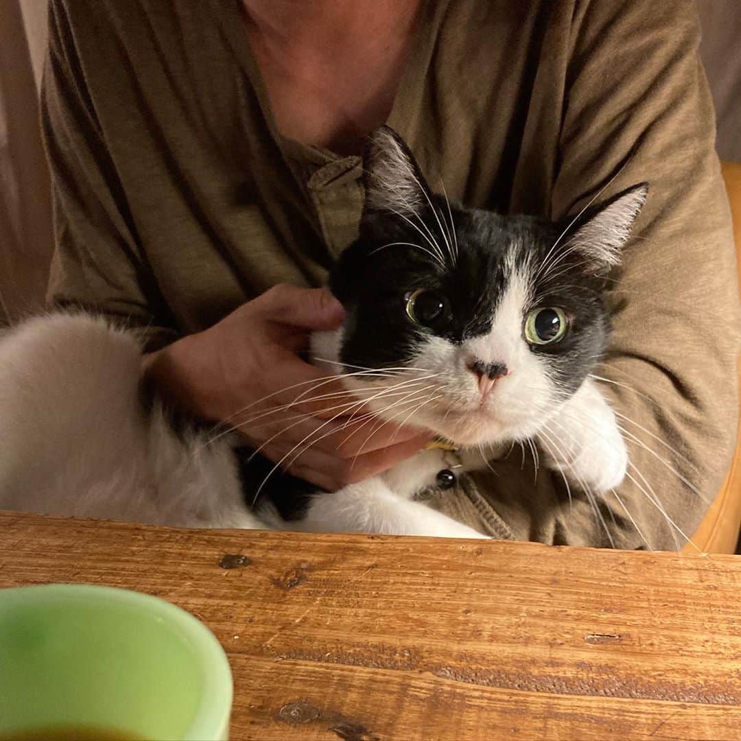 のインスタグラム：「首筋を撫でると鼻の穴閉ざすシステム #息して」