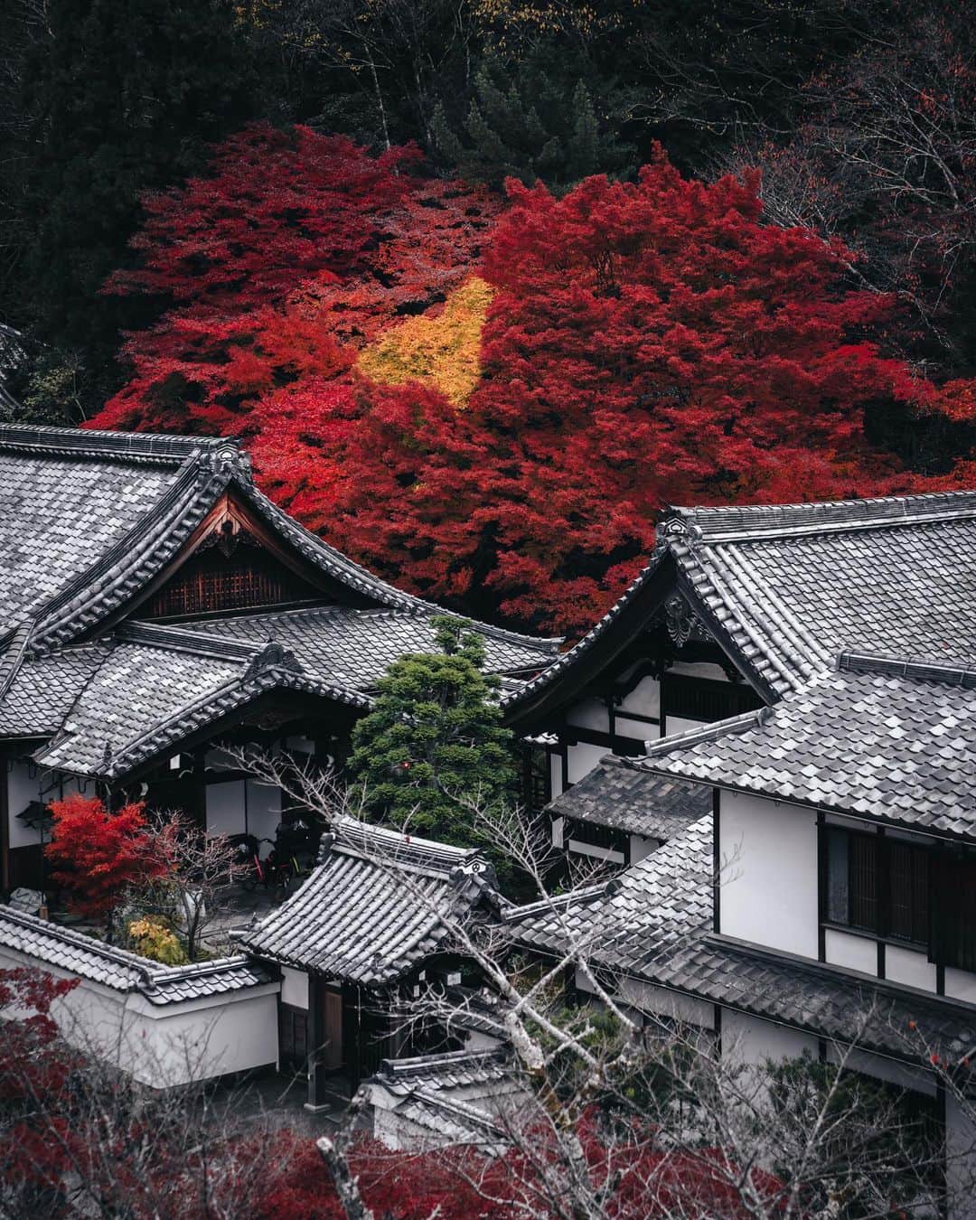 R̸K̸のインスタグラム：「The traditional Japan landscape is tinged with autumn color, and it unfolds into the numberless views of this season. Only the vivid red maple leaves ever stood out . #hellofrom Kyoto Japan ・ ・ ・ ・ #beautifuldestinations #earthfocus #earthoffcial #earthpix #thegreatplanet #discoverearth #roamtheplanet #ourplanetdaily #lifeofadventure #nature #tentree #livingonearth #theweekoninstagram  #theglobewanderer #visualambassadors #stayandwander #welivetoexplore #IamATraveler #TLPics #voyaged #sonyalpha #bealpha #aroundtheworldpix #artofvisuals #travellingthroughtheworld #complexphotos #d_signers #lonelyplanet #luxuryworldtraveler @sonyalpha  @lightroom @soul.planet @earthfever @9gag @500px @paradise」