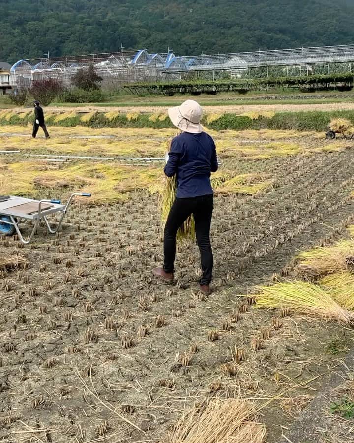 浅利そのみのインスタグラム
