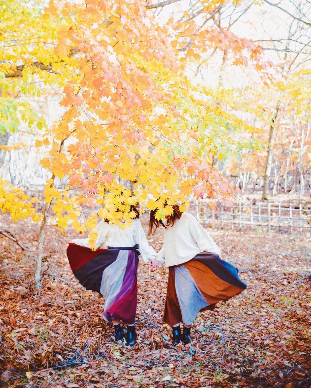 のインスタグラム：「Autumn colors  ㅤㅤㅤㅤㅤㅤㅤㅤㅤㅤㅤㅤㅤ あちこちから金木犀の香りがしていて とても幸せです。 秋が始まりました。 これから秋写真をたくさん出していきます🍁 ㅤㅤㅤㅤㅤㅤㅤㅤㅤㅤㅤㅤㅤ ㅤㅤㅤㅤㅤㅤㅤㅤㅤㅤㅤㅤㅤ #秋色コーデ」