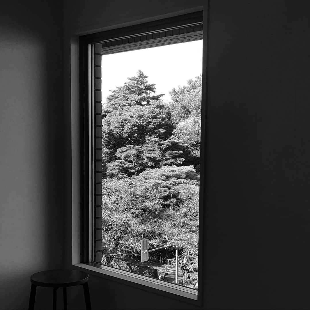 栗林藍希さんのインスタグラム写真 - (栗林藍希Instagram)「. ひとつ撮影を終えました。 出会った役の子の、迷いながらも力強く突き進んでいく姿に勇気を貰いながら、毎日を大切にする事ができました。  最近、窓が額縁のように見える時があります。撮影中にも、素敵な窓と緑を見つけたのでその写真を☺︎」10月3日 21時05分 - ____aino