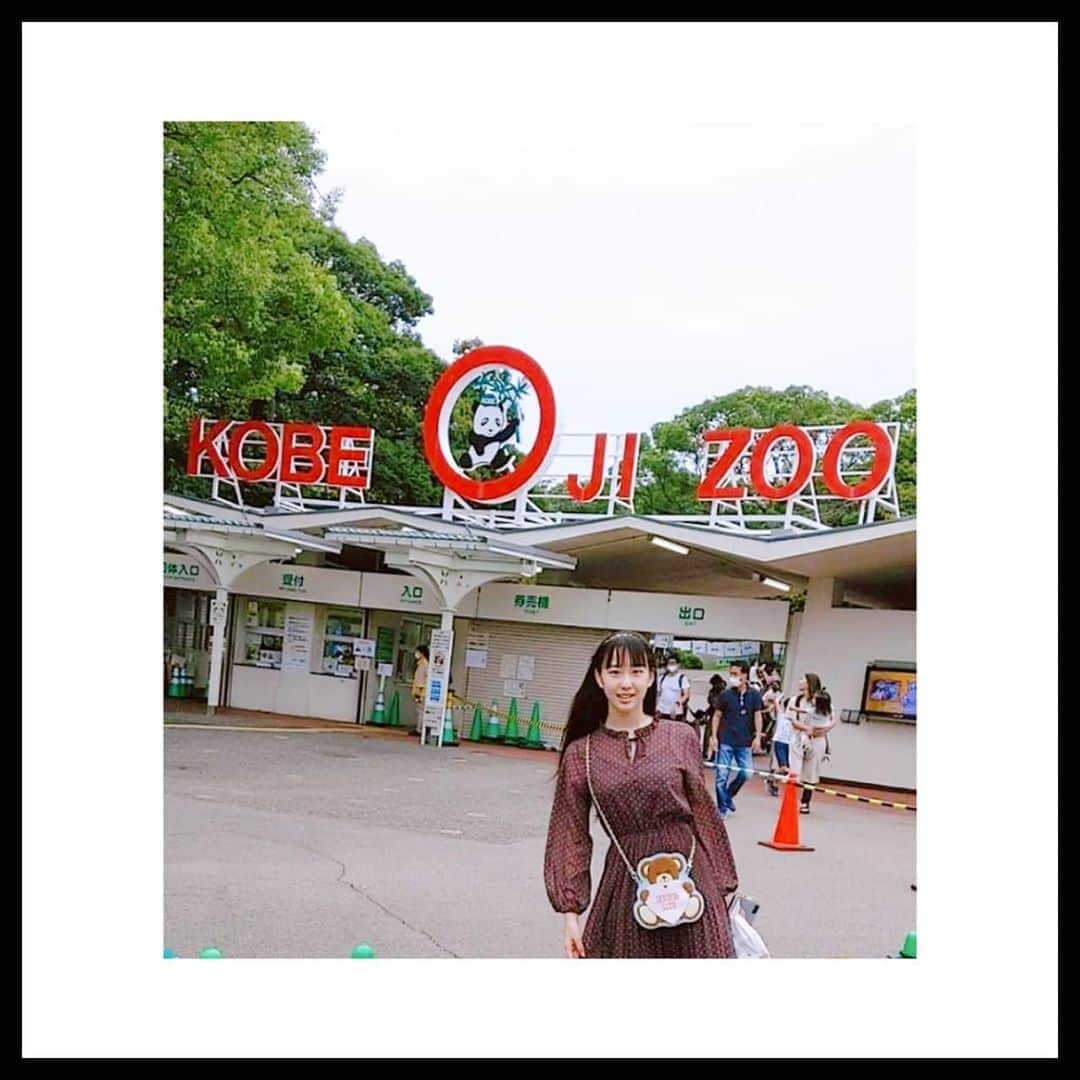山下森羅さんのインスタグラム写真 - (山下森羅Instagram)「#王子動物園 🐼 : :  #誕生日 のときに、王子動物園の #タンタン を見に行ってきました～♥ もうすぐ会えなくなるのが寂しいです…😭 : : #パンダ #観光 #神戸 #動物 #動物園 #ojizoo #guコーデ #gu #中学2年生 #中学生 #女子中学生 #スターダスト #スターダストプロモーション #スタダ」10月3日 21時07分 - shiira_yamashita0922