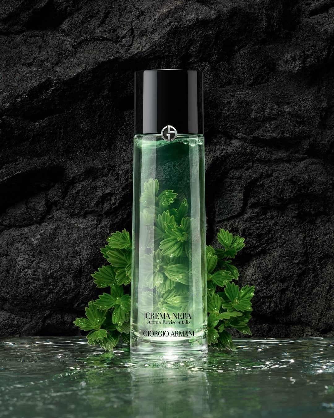 Armani Beautyさんのインスタグラム写真 - (Armani BeautyInstagram)「Introducing ACQUA REVISCENTALIS. Infused with Reviscentalis, an extract from one of the most powerful resurrection plants, the new treatment lotion hydrates, clarifies and refines skin.   #Armanibeauty #CremaNera #skincare」10月3日 21時58分 - armanibeauty