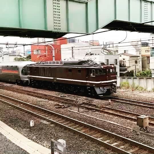 がっちゃんのインスタグラム：「#カシオペア紀行   常磐線に乗ってたら、複数の駅のホームにカメラを持った人たちが見えて、がっちゃんは何か来るって分かったみたいで見れました😊 いつか乗れたらいいな💕  #鉄分補給 #カシオペア #train #japantrain #trainspotting #trainphotography #trainview」