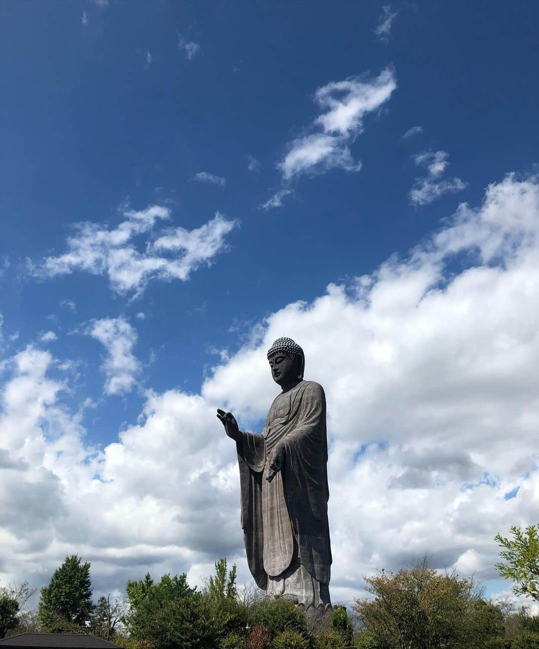 星野涼子さんのインスタグラム写真 - (星野涼子Instagram)「牛久大仏 息子の顔はめパネル心霊写真みたい🤣 大仏を下から見上げてもすごい大きさと高さだったけど、内部に入って下を見下ろして地上の人の小ささにまた高さを感じた！ この階の別の窓からはスカイツリーも見えた！ 内部にはたくさんの仏像。 夜、近くで大仏見ると結構怖いらしい😖  #牛久大仏　#牛久　#大仏　#茨城県　#顔はめパネル #子育て　#育児　#1才 #１歳 #1歳9ヶ月 #仏像　#ushiku #ushikudaibutsu #japan #buddhism #ibaraki #일본 #이바라키 #불교　#아들스타그램 #아들 #아들맘」10月3日 22時27分 - ryoko.hoshino