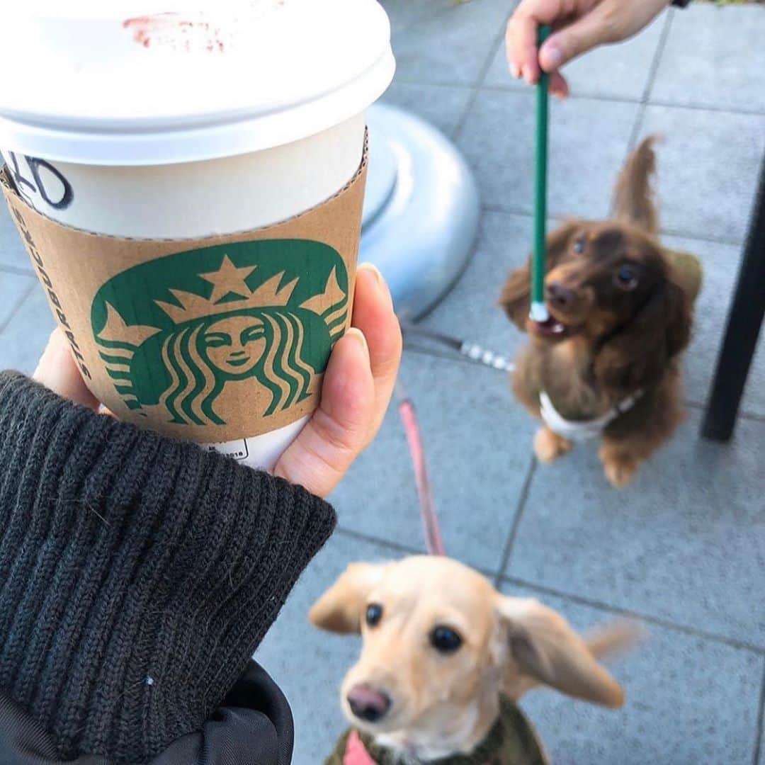 加瀬愛莉のインスタグラム