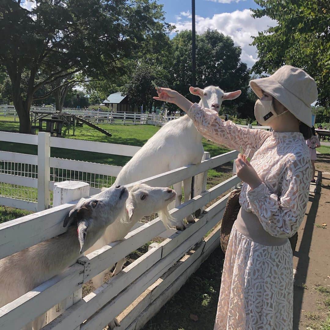 中西香菜のインスタグラム：「﻿ ﻿ 🥛札幌さとらんど🐄﻿ ・﻿ ♡﻿ ・﻿ さとらんどで動物と触れ合ったり、　﻿ バター作ったり、﻿ 歌を作ったり、😂﻿ バーベキューしたり、﻿ のんびり出来て楽しかったーっ🥰﻿ みんな優しかったなあ🥺🌷﻿ ・﻿ ♡﻿ ・﻿ ♡﻿ ・﻿ #北海道﻿ #北海道旅行﻿ #札幌﻿ #札幌旅行﻿ #バーベキュー﻿ #牧場﻿ #北海道牧場﻿ #札幌牧場﻿ #さとらんど﻿ #札幌さとらんど #札幌グルメ  #札幌観光 ﻿ #中西姉妹﻿ #中西香菜﻿」
