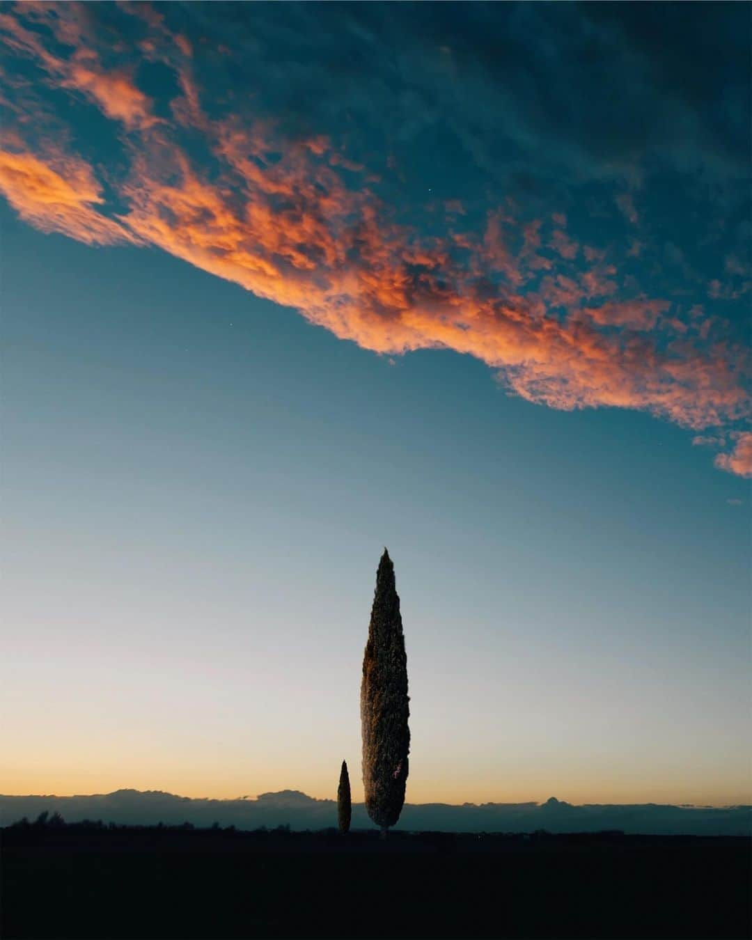 Simone Bramanteのインスタグラム：「{ 🌳♥️ } • As previously said, every single tree, even in a flat landscape, is a living work of art. #whatitalyis」