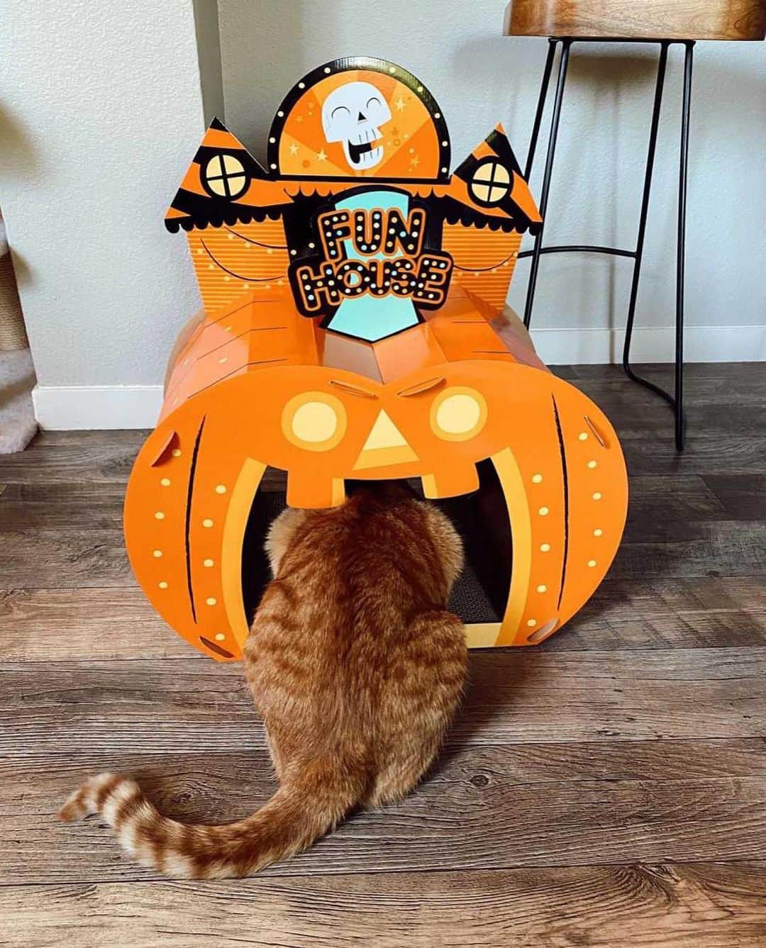 Targetさんのインスタグラム写真 - (TargetInstagram)「Looking to make Halloween purrfect? Spooky cat scratchers coming on up! 👻🎃🕸」10月4日 0時09分 - target