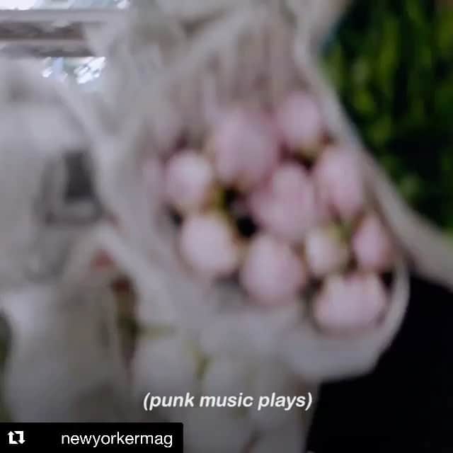 椎木俊介のインスタグラム：「#Repost @newyorkermag with @get_repost ・・・ The new, 30-minute documentary "Flower Punk," by Alison Klayman (@aliklay), profiles the Japanese botanical artist Azuma Makoto, a punk and a poet at heart, whose true subject is the fleeting nature of life. “He’s struggling with how to draw out the most vitality and beauty in something that is always moving towards death and decay,” Klayman said. “Flower Punk” was shot on a break from filming Klayman’s long-form documentary, “The Brink,” for which she spent 13 months tailing Steve Bannon. “It was like a refreshing reset to be surrounded by and contemplating beauty,” she said. Tap the link in our bio to watch the film.」