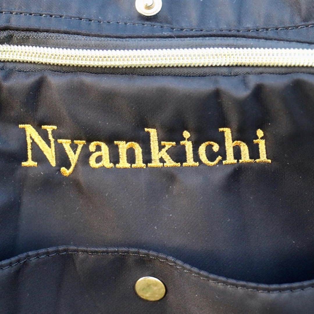 Nyankichi Noranekoさんのインスタグラム写真 - (Nyankichi NoranekoInstagram)「“行きはよいよい♪帰りは怖い💦” 「はりきりすぎて、こんなところまでやって来ちゃったにゃり😅」 そんなときの強い味方がコチラ！ @winsun.japan 新作 キャリーリュック《ストライプ》 小型犬（6kg以下）,猫（8kg以下)  これなら、帰りは景色を楽しみながら楽ちんパトロールができそうにゃりよ😸  アンバサダーのぼくのフォロワーさまには・・・ お得な『10％OFFのクーポンコード』があります！ 【ig10off】  ■商品の特徴 ◎大きなメッシュの窓があり通気性が良い(左右にもメッシュ窓あり) ◎災害時の移動にも役立つ ◎大きめの保冷剤も余裕で入るポケット ◎肩紐には反射板をつけ、夜でも安心  ◎ベルト側には安定感を保つため 　胸ベルトと腰ベルトを採用 ◎本体カラーはブラック 　内側のストライプ柄はネイビー ◎ペット体重目安:3kg〜6kg位まで  小さいサイズのキャリーリュックです。 公共機関でお使い頂ける仕様なので・・・ 新幹線乗り/電車乗り/バス乗り/自転車乗り/車乗り/動物病院待合etc… いろんな場面で活躍してくれそうにゃりよ🚄🚌✈️🚙  ご購入の際は。。。お得なクーポンコード【ig10off】の入力をお忘れなく！にゃり。@winsun.japan  #winsun  #ウインサン #ペットキャリー  #キャリーリュック #刺繍入りリュック  #ペットリュック　#うちの子グッズ #猫 #cat #고양이 #แมว #貓 #кошка #wats #chat #ニャンスタグラム #gato #catsofinstagram #ねこ部 #旅猫 #cats #aso #japan #猫写真 #ねこ #seekor #ネコ #kitty #catlover #パトロール」10月4日 10時58分 - noraneko_nyankichi
