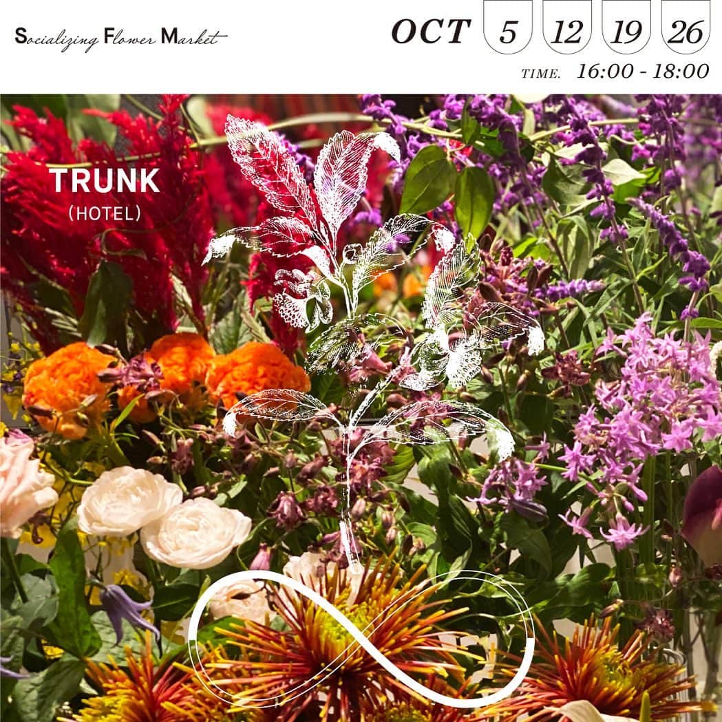 TRUNK(HOTEL)さんのインスタグラム写真 - (TRUNK(HOTEL)Instagram)「SOCIALIZING FLOWER MARKETを、10月5日(月) /12日(月) /19日(月) /26日(月)の16:00 - 18:00に開催します。  SOCIALIZING FLOWER MARKETとは、館内で行われるウェディングやイベント装飾で使用した通常では破棄されてしまう状態の良い花々を、素敵なブーケにアップサイクルして販売する取り組み。TRUNK(HOTEL)フラワーデザインチームのメンバーが「お花を捨ててしまうのはもったいない」と感じたことから生まれた、TRUNKらしい取り組みです。 ⁣  #trunkhotel #ブティックホテル #boutiquehotel⁣﻿ #socializing #sustainability #workshop #flower⁣﻿ #socializingflowermarket #ソーシャライジングフラワーマーケット #スワッグ #廃棄花　#はなのあるくらし」10月4日 11時10分 - trunkhotel_catstreet