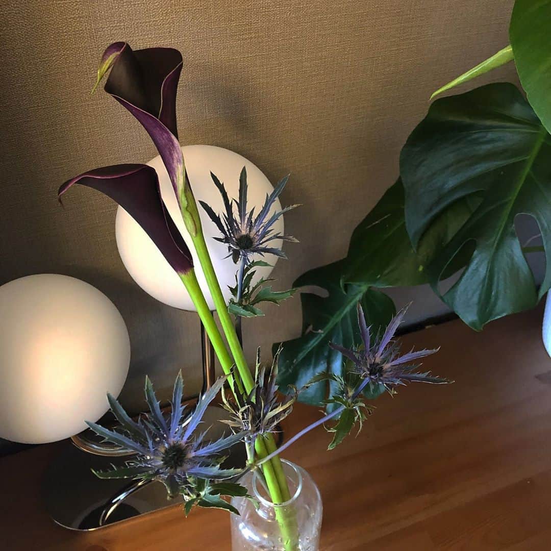 山﨑さおりのインスタグラム