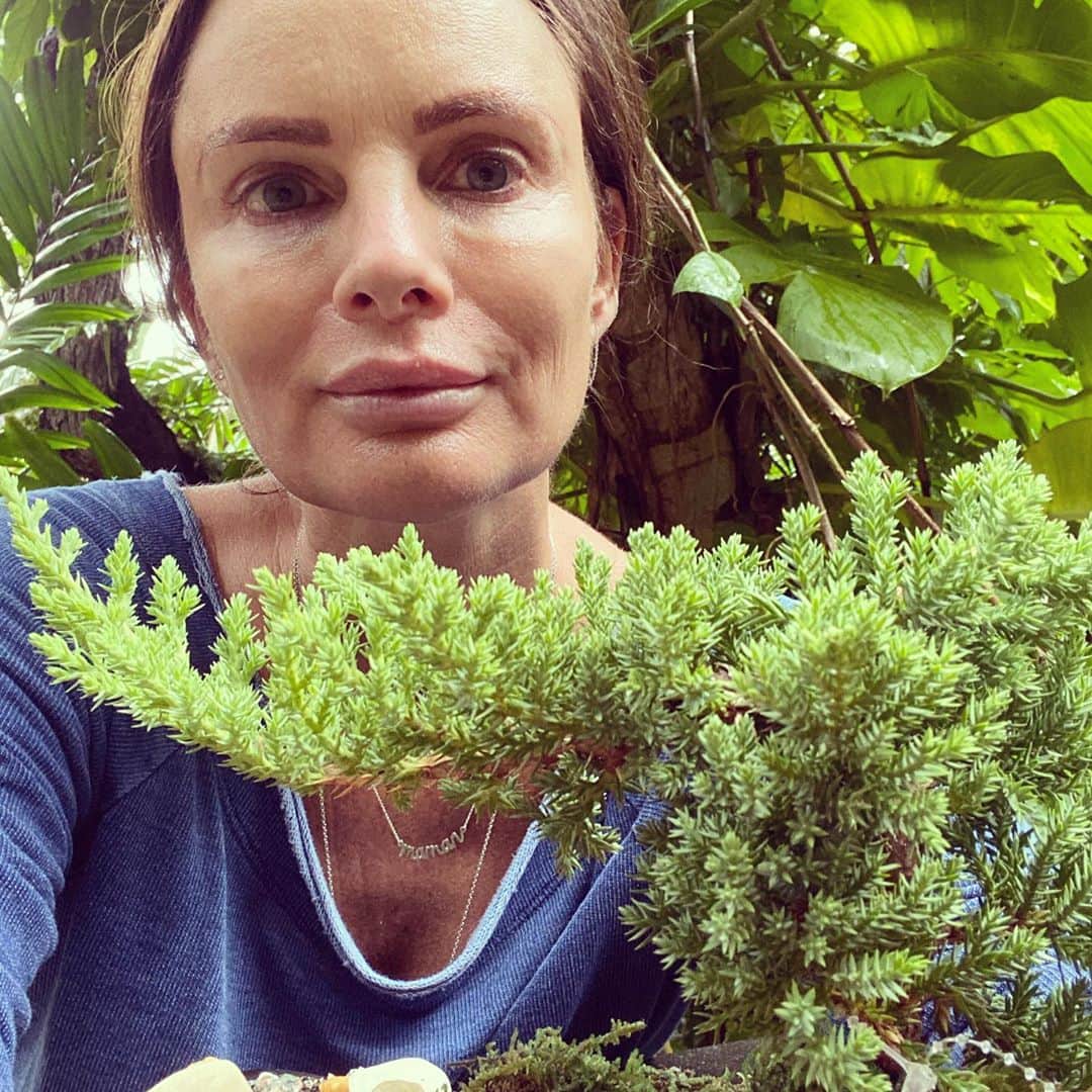 ガブリエル・アンウォーのインスタグラム：「My little bonsai care of Sean @berkeleyfloristsupply my oasis. @shellyd305 got you covered with purple. @shareefmalnik」