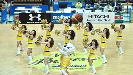 本田景子さんのインスタグラム写真 - (本田景子Instagram)「My former team in Japan!!🏀 日本のスポーツが続々と開幕していますね。 私が所属していたサンロッカーズ渋谷も開幕戦を迎え、後輩達の活躍がアメリカまで届いて元気をもらっています😊 あの会場の一体感は一生忘れません。 鳥肌が暫くおさまらないほどの興奮と感動でした。 久々に写真を見ていて懐かしくなり、みんなで踊った幸せだった瞬間をシェアしたくなったので載せます。 1〜4年目までランダムです。 このチームに出会ってなかったら、今の自分はいません。 ディレクターのなおさん、素晴らしいチームメイト、そして温かいファンのみなさんに支えられ、たくさんのことを学びました。 私のアメリカ挑戦を応援してくれたチームに感謝。 . . 最後に一言 白い自分がいる🤣 . . #チア #チアリーダー #夢 #挑戦 #意志あるところに道は開ける #challenge #chance #teammates #sunrockers #sunrockergirls」10月4日 3時54分 - keikohonda1111