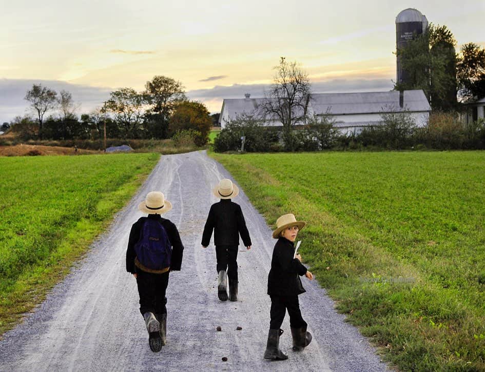 thephotosocietyさんのインスタグラム写真 - (thephotosocietyInstagram)「Photos by @ScottGoldsmithPhoto // Eastern Pennsylvania Amish one-room schoolhouses in Pennsylvania have experienced similar Covid virus concerns as schools around the world.  With only one room, distancing becomes almost impossible.   While most schools in Pennsylvania shifted instruction online, Amish schools switched to remote assignments with paper and pencil.  Traditional Amish families do not own computers and many do not have electricity.   Amish schools have discretion on how to handle lessons. In some cases, one child from each family will go to the schoolhouse and pick up assignments for all children in a family. Sometimes the teacher might stop by each home to deliver assignments and pick up completed school work.   Students occasionally visit the teacher at school or home to grade assignments. Some teachers give private, at-home lessons.   These photos were made before the Covid virus, as part of a project on Amish school children.  #Amish #schoollife #schooltime #Covidlife #oneroomschoolhouse」10月4日 4時10分 - thephotosociety