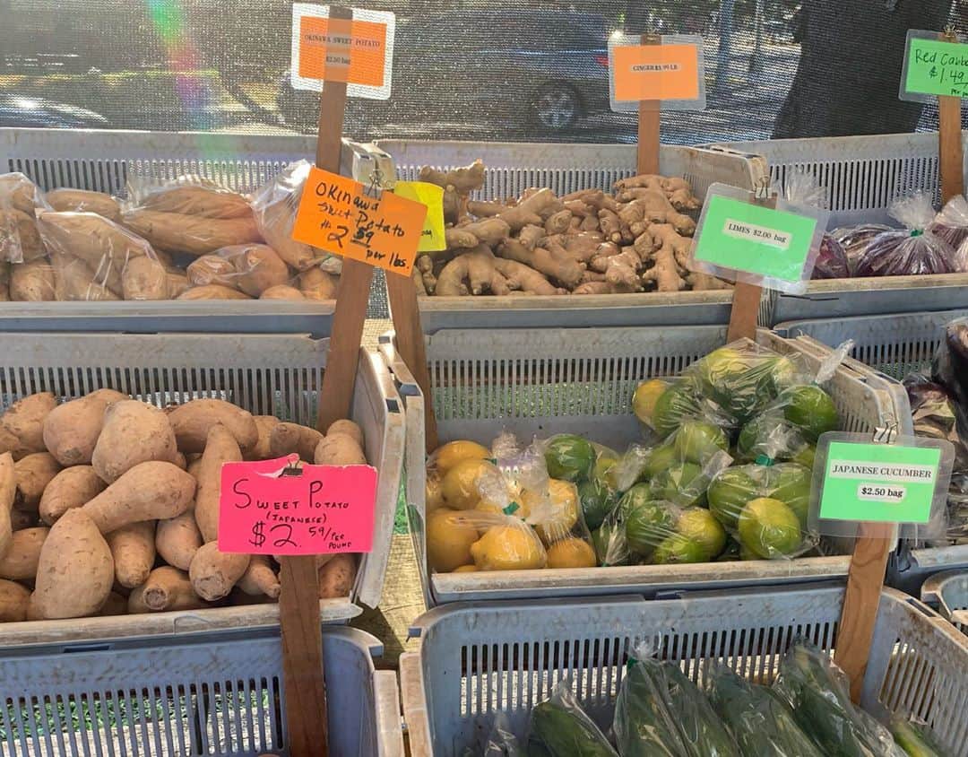 飯島寛子さんのインスタグラム写真 - (飯島寛子Instagram)「“食欲”を満たすための健康お野菜調達へ。 野菜クラブと呼ばれる方が必然的に集まるよ。笑 今日も良い日で God bless you  #farmersmarket #mccullyshoppingcenter  #充実野菜」10月4日 4時22分 - hirokoiijima