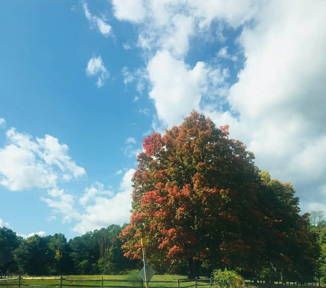 クリス・エヴァンスさんのインスタグラム写真 - (クリス・エヴァンスInstagram)「It’s starting💙」10月4日 5時40分 - chrisevans