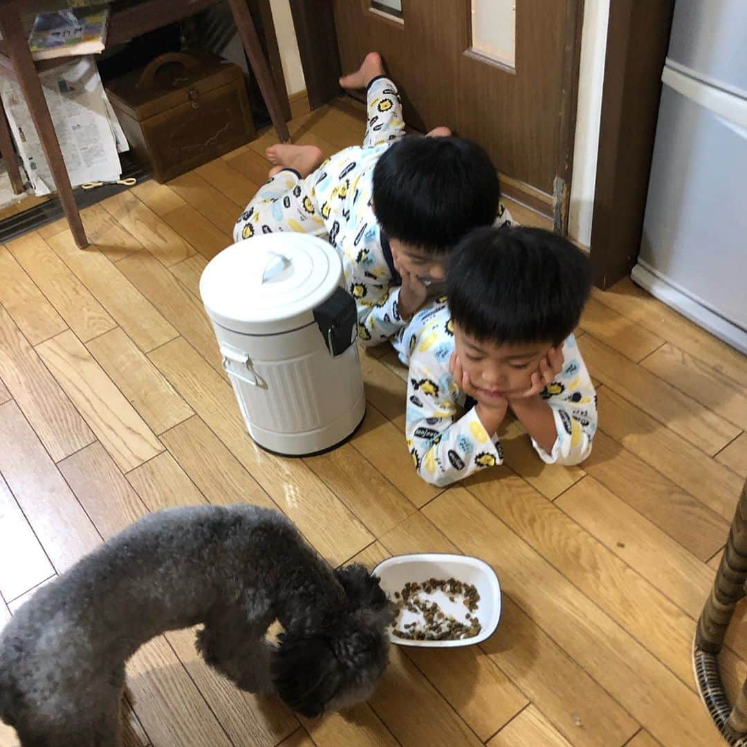 生島早織さんのインスタグラム写真 - (生島早織Instagram)「週末、双子達のリクエストで義父母宅へ😊  犬と遊び、いとこちゃんと遊び、楽しそう❣️  パパに写真を送ったら、石碑に登るのも、植木屋さんの石渡も、子供の頃同じ事してた〜って🤣  変わらない景色、遊びがあるのって良いよね👍😃  翌日は山へ探検に行きたいらしい🤣 鴨に餌もあげたい❣️  犬の散歩もしたい🐩  いとこちゃんとも遊びたい❣️  1日で足りるかな？🤣  #双子育児 #双子ママ #義父母宅へ #いとこちゃんと #今と昔 #変わらない景色 #週末の楽しみ」10月4日 6時00分 - saori.ikushima