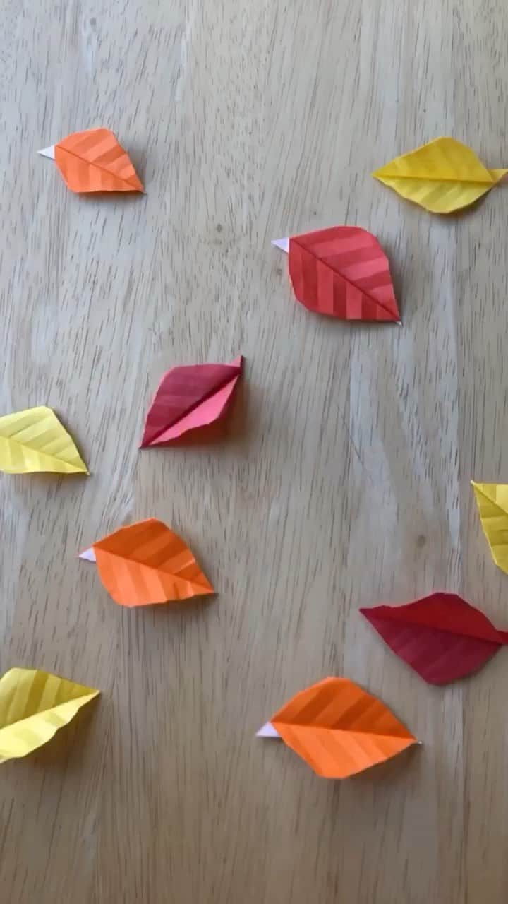 KATのインスタグラム：「This week’s Origami Tutorial is Autumn leaves! Full video is now on my channel! ⁣ ⁣ 今週の折り紙ビデオは紅葉の🍁です！　是非折って見てね！⁣ ⁣ #autumnleaves #origami #origamileaf  #origamitutorial #stopmotion」