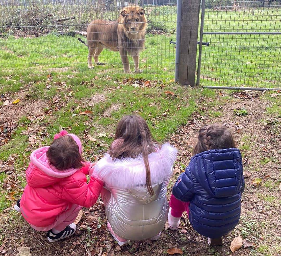 アンヘル・ディ・マリアさんのインスタグラム写真 - (アンヘル・ディ・マリアInstagram)「Día de zoológico 🐅 🦁 🐆 🐒 🦍🦝🦥🐐. Muchas gracias a Parc zoologiques Lumigny.  @pzlumigny77 ❤️」10月4日 7時40分 - angeldimariajm