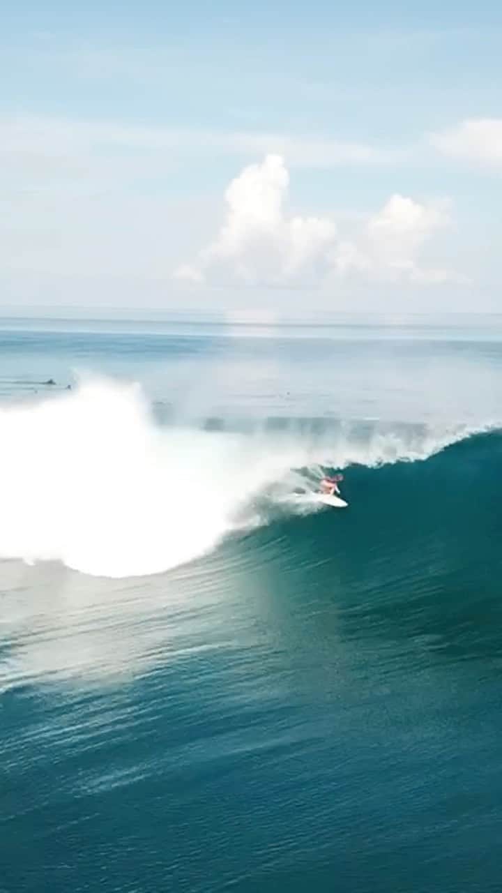 フェリシティー・パルマティアーのインスタグラム：「Wouldn’t mind teleporting myself back to this perfection 😍 @mayhemsurfboards_mattbiolos @lostsurfboards @creaturesofleisure @nudiejuice @usanainc us」