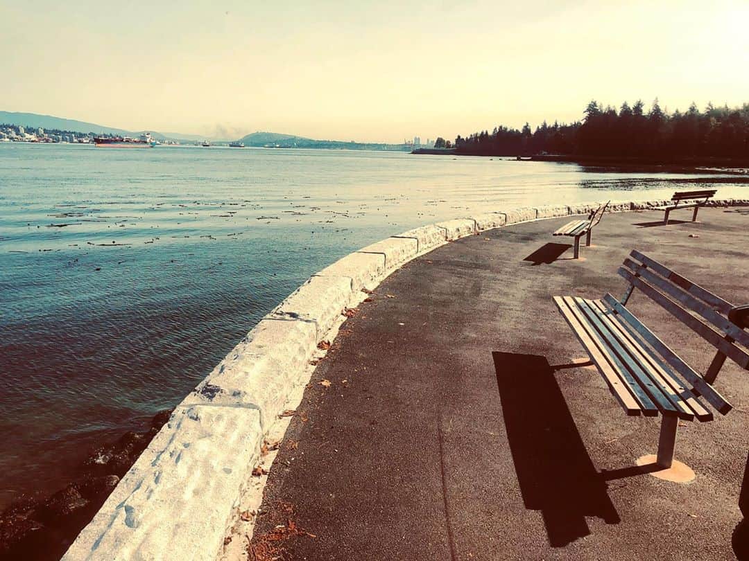 リンジー・クラフトのインスタグラム：「always a sucker for a bench. and three of em. so... yea...」