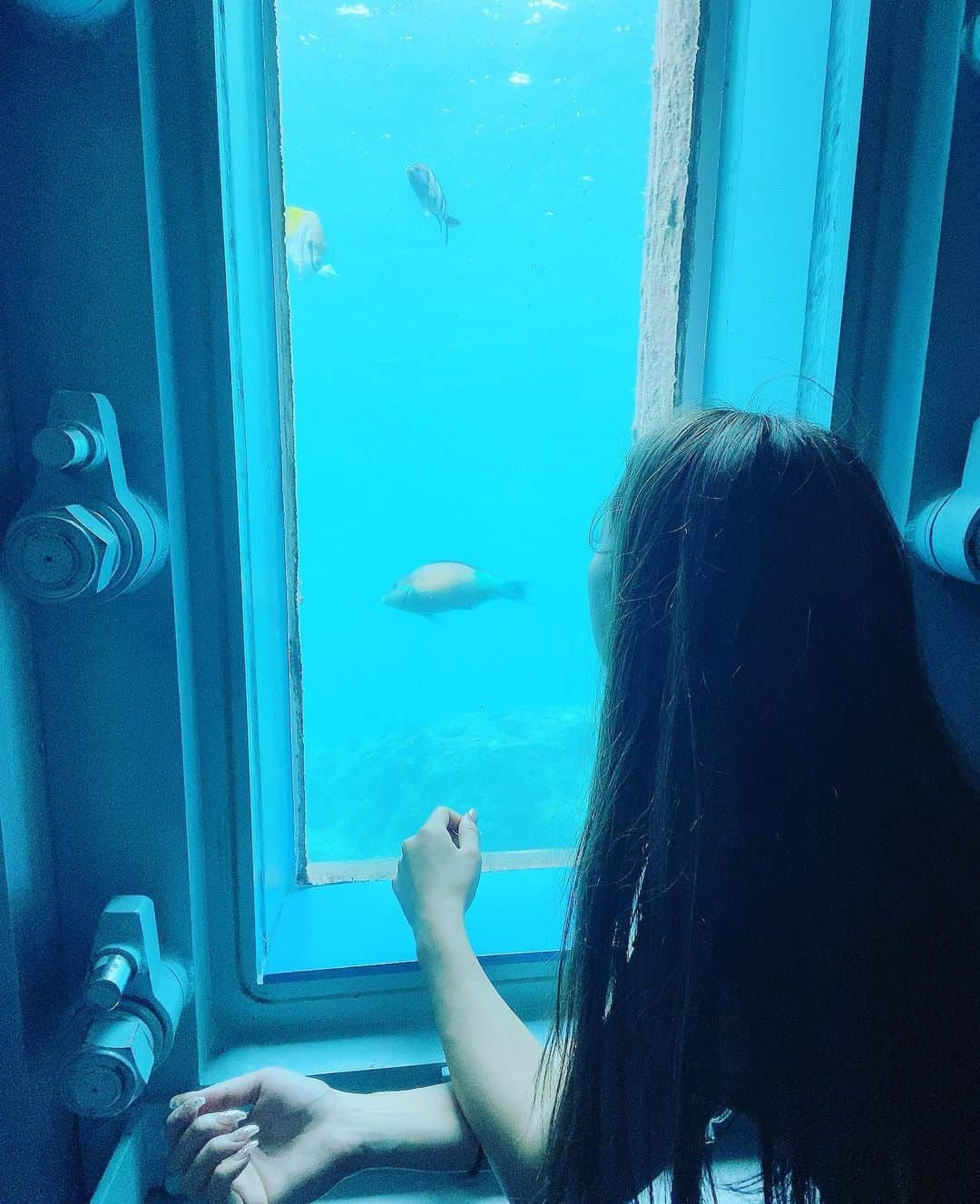 中尾みほさんのインスタグラム写真 - (中尾みほInstagram)「・ 海の中が見れるところ°･🐠 平日だから人居なくて貸し切りでした✨ ゆっくり見れたよ♥️♥️ ・ #宮古島#宮古島海中公園#沖縄#魚 #家族#家族旅行#育児日記#育児 #1児のママ#ママリ#ママ#中尾みほ」10月4日 8時24分 - mihochan18