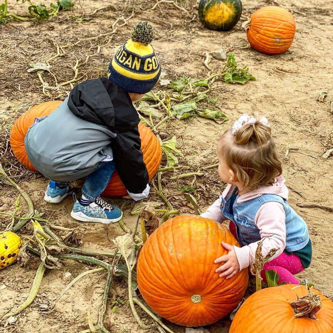 ライアン・ルアさんのインスタグラム写真 - (ライアン・ルアInstagram)「Fall festivies with my crew 🍂👻🎃🌤 #fall #autumn #pumpkinpatch #orchard #family」10月4日 8時49分 - ryan_rua