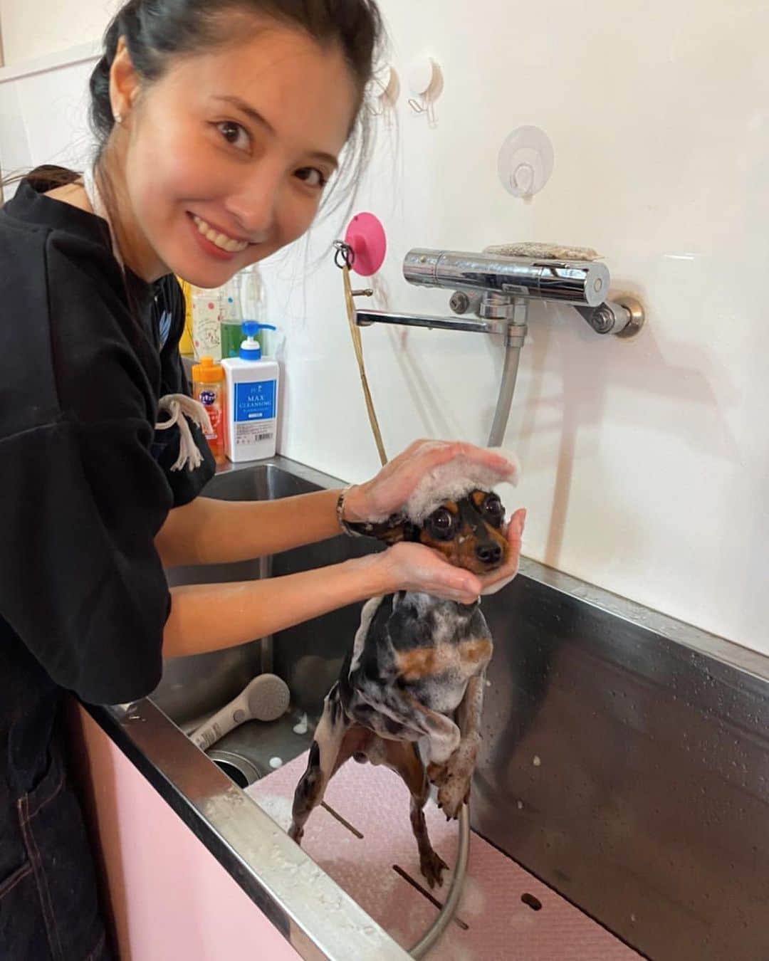 大石絵理のインスタグラム：「あけちゃんと @dogrescue_anella で保護されているわんちゃんたちに会いに行ってきました😌💕 シャンプーしたり一緒に遊んだり、それぞれの子がどんな理由で保護されたかを教えていただいたりしたんですが、赤ちゃんをたくさん産まされたり、皮膚が荒れているから殺処分になったり、前の飼い主から虐待を受けていたり、いろんな子がいました。 本当に悲しいけどそういう現実もある中で、愛されるために生まれてきた動物たちみんなに幸せになってほしいので、ぜひ興味がある方はのぞいてみてください😭💕 みんなかわいくていい子たちでした❤️」