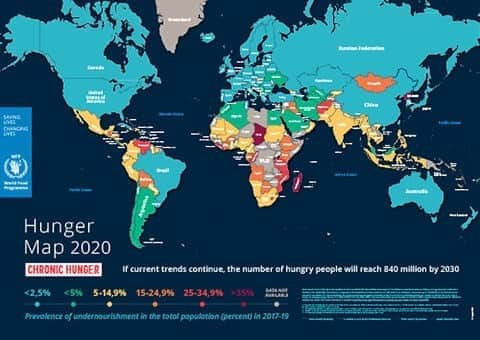 林田岬優さんのインスタグラム写真 - (林田岬優Instagram)「WFP's Hunger Map 2020 #hungermap @wfp_japanoffice @wfpusa  ． コロナの影響で、食糧支援を必要としている人が2019過去最多の9700万人から、今年は最大1億3800万人に増えてしまうそう。 食糧が足りない人がいるにもかかわらず、世界では食べ物の1/3が破棄されていて。 日本も食品ロス大国のひとつ。  必要以上に買わない、食べられる分だけよそったり、外食の際残ったものは、お持ち帰りしたり。 この事実を知って私も心がけようって思いました。  Instagram、Twitter、Facebook、YouTubeに、このハッシュタグ投稿をすることで、 120円(学校給食4人分)国連WFPに寄付されるみたい。 . 10/31まで✨  少しでも助かる方が増えますように。🌏 #食品ロスゼロアクション  #ゼロハンガー2020 #国連WFP」10月4日 9時42分 - miyu_hayashida