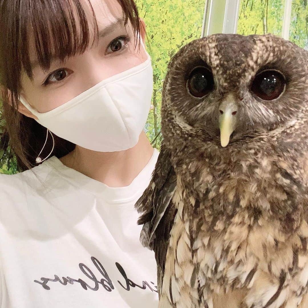 中谷あすみのグルメインスタ