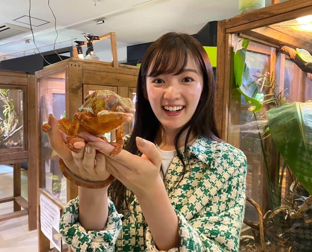 のインスタグラム：「GIRL's TRIP~よくばり女子旅~2021﻿ ムック本の撮影で伊豆の色んなところを﻿巡りました📖✨﻿ ﻿ 中でも　#izoo で爬虫類達に触れ合ったことは﻿ 初めての経験でドキドキわくわく 楽しかったなぁ🐢🐍🦎🐸﻿ ﻿ 案外怖くなくて可愛さすらあった🐍💓﻿ ﻿ 発売お楽しみに🥳📚﻿ ﻿ ﻿」