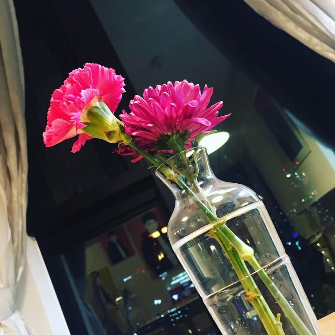宮田麺児さんのインスタグラム写真 - (宮田麺児Instagram)「水あげを駆使して 花を　長持ちさせる技術をみにつけた。  ゆりの花を咲かせれた いや　ゆりが頑張った。」10月4日 21時23分 - miyatamenji