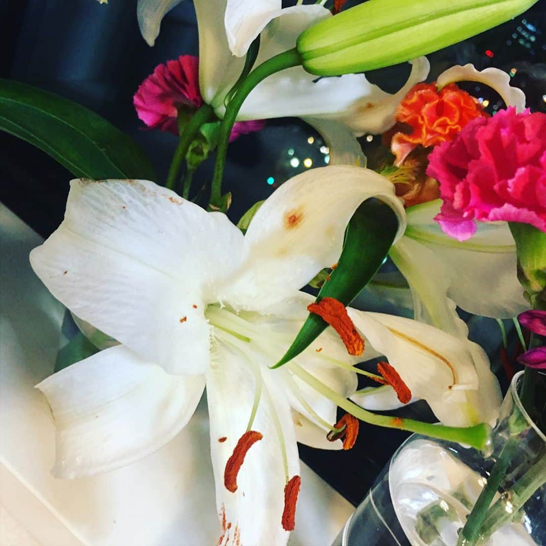 宮田麺児さんのインスタグラム写真 - (宮田麺児Instagram)「水あげを駆使して 花を　長持ちさせる技術をみにつけた。  ゆりの花を咲かせれた いや　ゆりが頑張った。」10月4日 21時23分 - miyatamenji