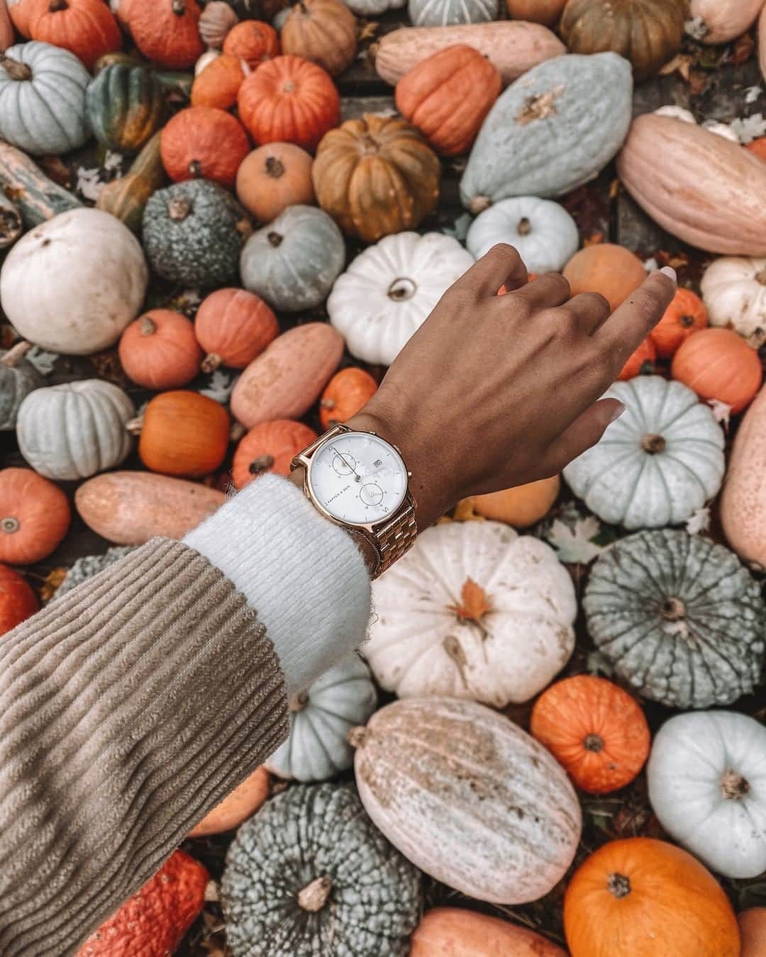 Kapten & Sonさんのインスタグラム写真 - (Kapten & SonInstagram)「'Autumn leaves and pumpkins please.' 🍁 @theresaschmidt wearing our beautiful watch Chrono Small Gold "Steel"! ✨ #bekapten #kaptenandson⁠ .⁠ .⁠ .⁠ #watches #pumpkin #autumn #autumnvibes #outfitinspo #ootd #ootd #fashionaddicted #inspiration」10月4日 20時01分 - kaptenandson