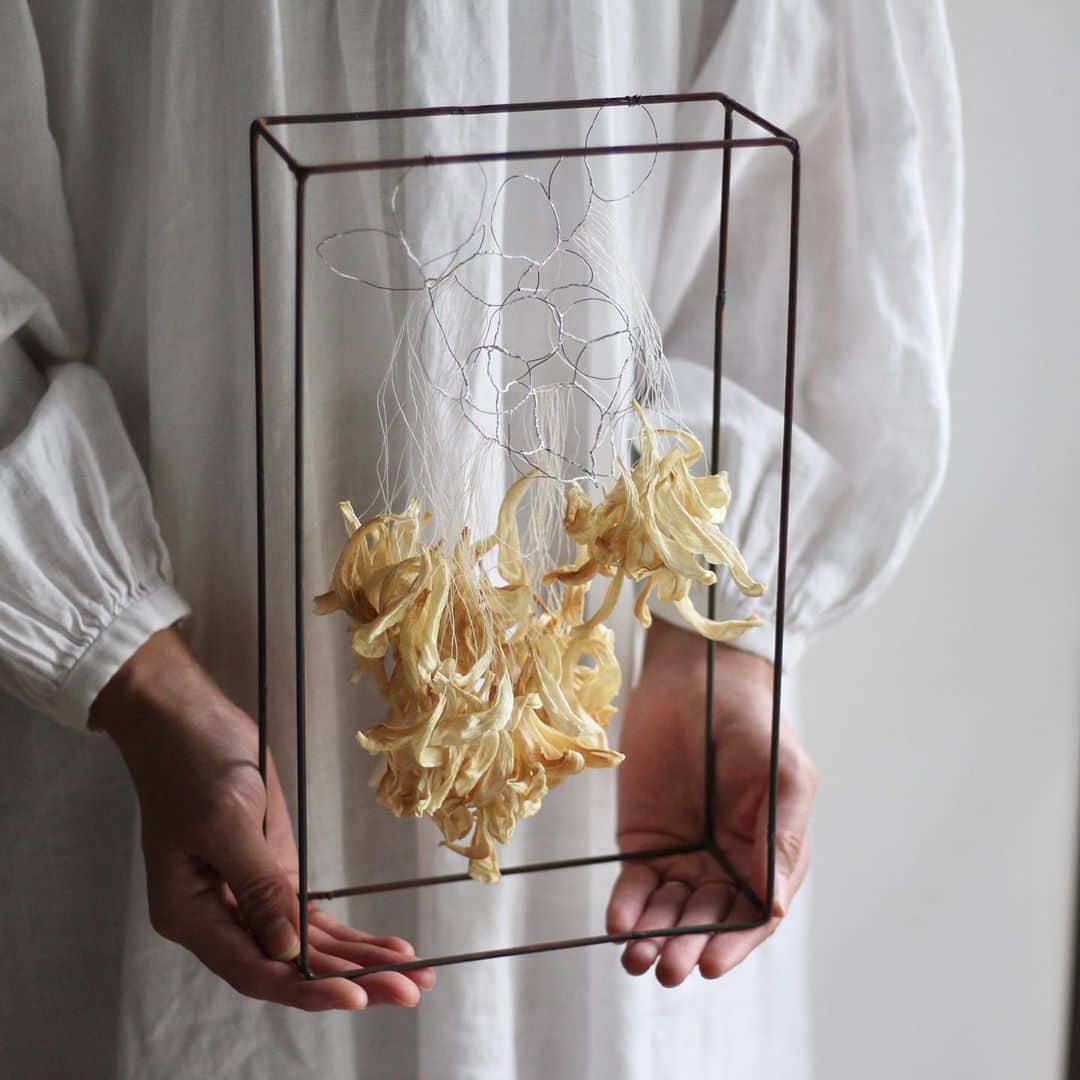 手紙社のインスタグラム