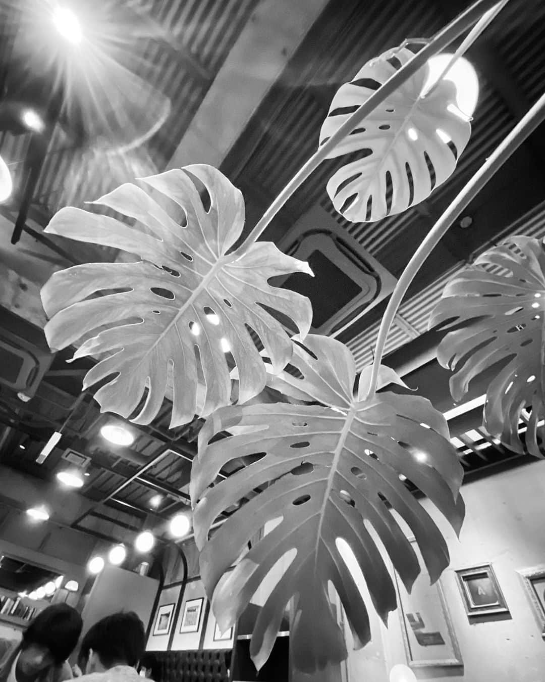 宍戸開のグルメインスタ