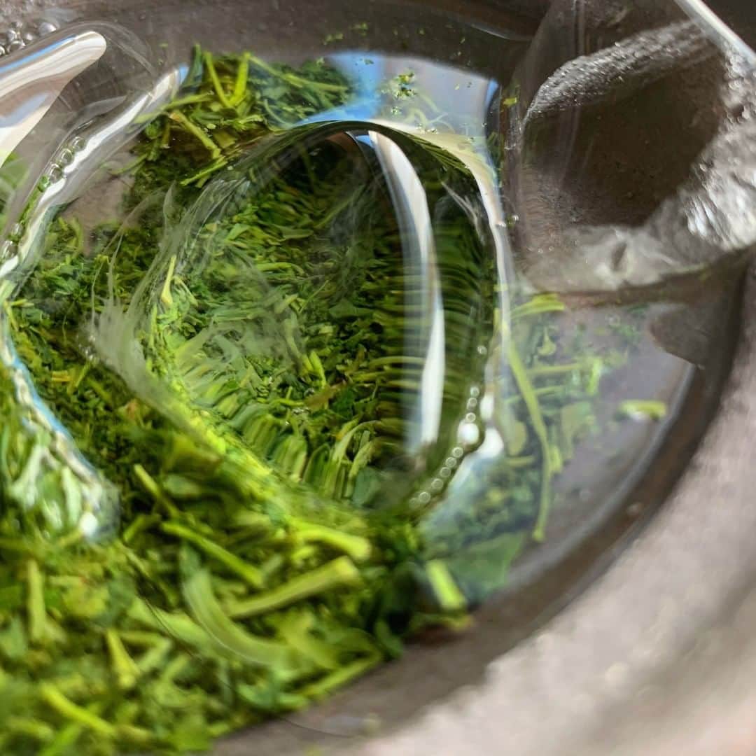 ムクリ［mukuri］さんのインスタグラム写真 - (ムクリ［mukuri］Instagram)「今日も明日も、気分のままに。香りと色、味わいで愉しむ〜お茶のある暮らし（marikoo00さん/あの人の暮らしが素敵な理由）  だんだんと寒さがましてきて、温かいお茶が恋しい季節になってきました。  今回は色々な種類のお茶を様々な方法で淹れて愉しまれている、marikoさんにお話をお伺いしました。  素敵な茶葉のパッケージや美しい茶器は、お茶を淹れる前からワクワクした気持ちにさせてくれます。  食事の内容やシチュエーションに合わせて、どのお茶にしようかと選ぶのも、愉しみのひとつ。  また一煎目と二煎目で違った淹れ方をすることでさらに世界が広がるそう。  温かいお茶を氷に注ぐ「オンザロック」で淹れる方法や、お気に入りのお茶についてもお話くださっているので、ぜひご覧くださいね♩  specialthanks @marikoo00 ・ （編集：kaori）  ▶詳細はプロフィールのURLよりご覧ください プロフィールはこちらから @mukuri_official ・  #お茶#お茶のある暮らし#お茶と暮らす#お茶部#greentea#暮らしにお茶を#暮らし#暮らしを楽しむ#日々の暮らし#日常#日々のこと#マイホーム#おうち時間#丁寧な暮らし#器#器のある暮らし#くらしの編集#ムクリ」10月4日 21時05分 - mukuri_official