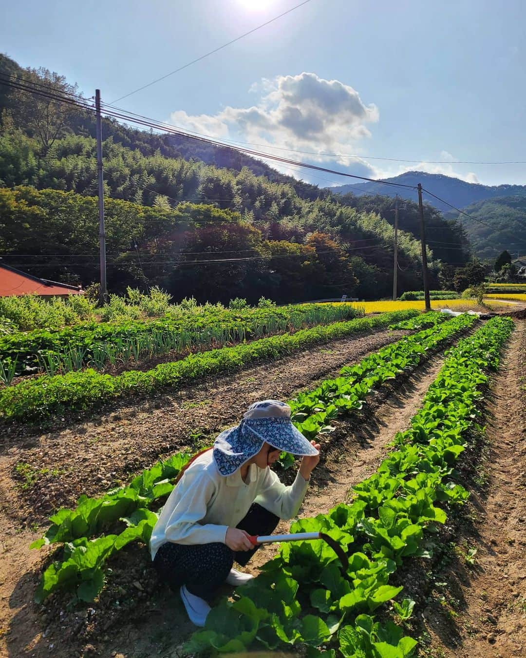 ユジョンのインスタグラム：「🏡🌾🌳🐮👩‍🌾🍆」