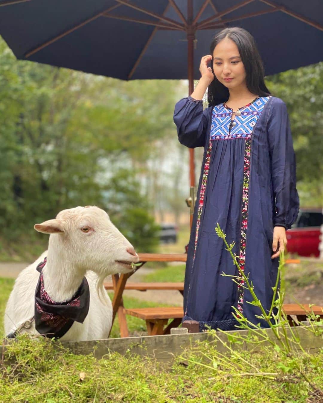 芥川舞子のグルメインスタ