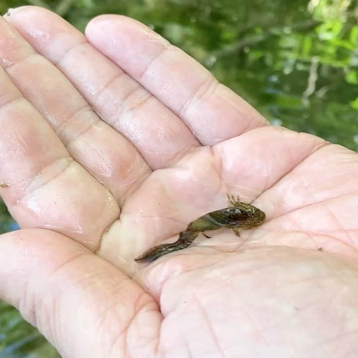 星野リゾート　トマムのインスタグラム