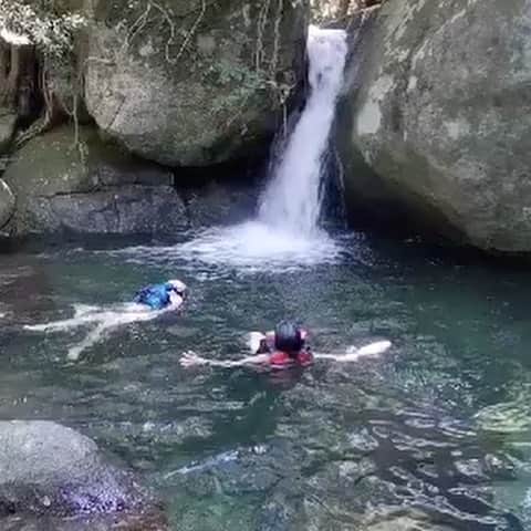 のインスタグラム：「屋久島のナビゲーター2日目は @hiromi_earthtribes さん 私達3人と彼が始めましてとは思えない不思議な一体感✨  道なき道を下りおそらく誰も知らないだろう川にダイブ💦 豆から挽いたコーヒー飲んで地中温泉♨️でまったり  屋久島西側、世界遺産エリアを風を感じながらのドライブ🐒🦌 気持ち良くて思わず叫んで出した声こんな時間大事だと思った‼️  サンセット前に海に潜って海亀と泳ぐ🐢 実は、泳げないから海は苦手なのに川にドボンして勇気が出て来た 🔥  オプションでお願いしたサンセットビーチディナー🥂🌅  この日は、最高の星空に中秋の名月🌕でした。 #サンセットビーチディナー  #屋久島 #海亀と泳ぐ  #子供の頃に戻ったみたい」